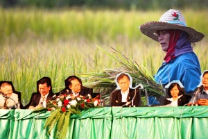นักวิชาการชี้อีก 10 ปีเกษตรไทยเป็น “ไม้ล้ม” ถ้าไม่รีบปรับตัว