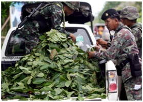 Rampant drug abuses in Deep South despite heavy presence of troops