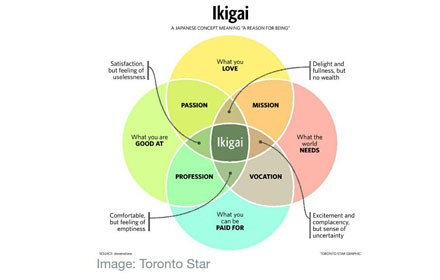 Ikigai300161