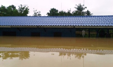 flood101